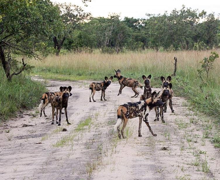 Kasungu National Park