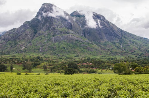 Mulanje Mountain Malawi