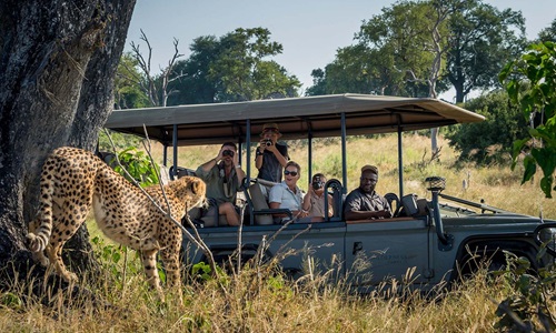 Malawi Family Safari