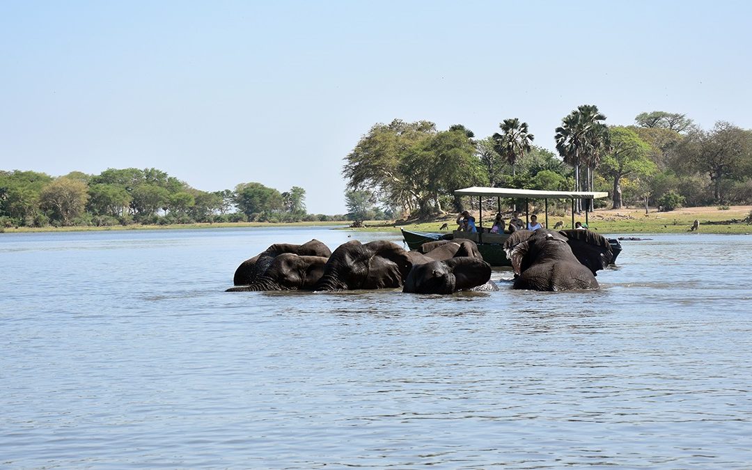 3 Days Safari at Liwonde National Park