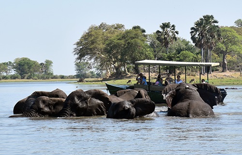 5 Days Liwonde and Lake Malawi Safari