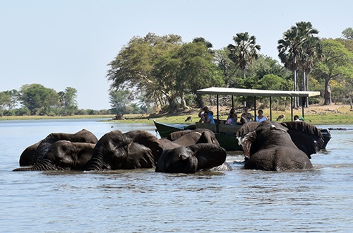 Liwonde Safari Tour