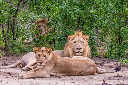 Malawi Adventure Safari