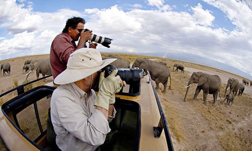 Photographic Safari Malawi