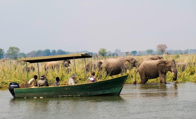 River Safari Liwonde