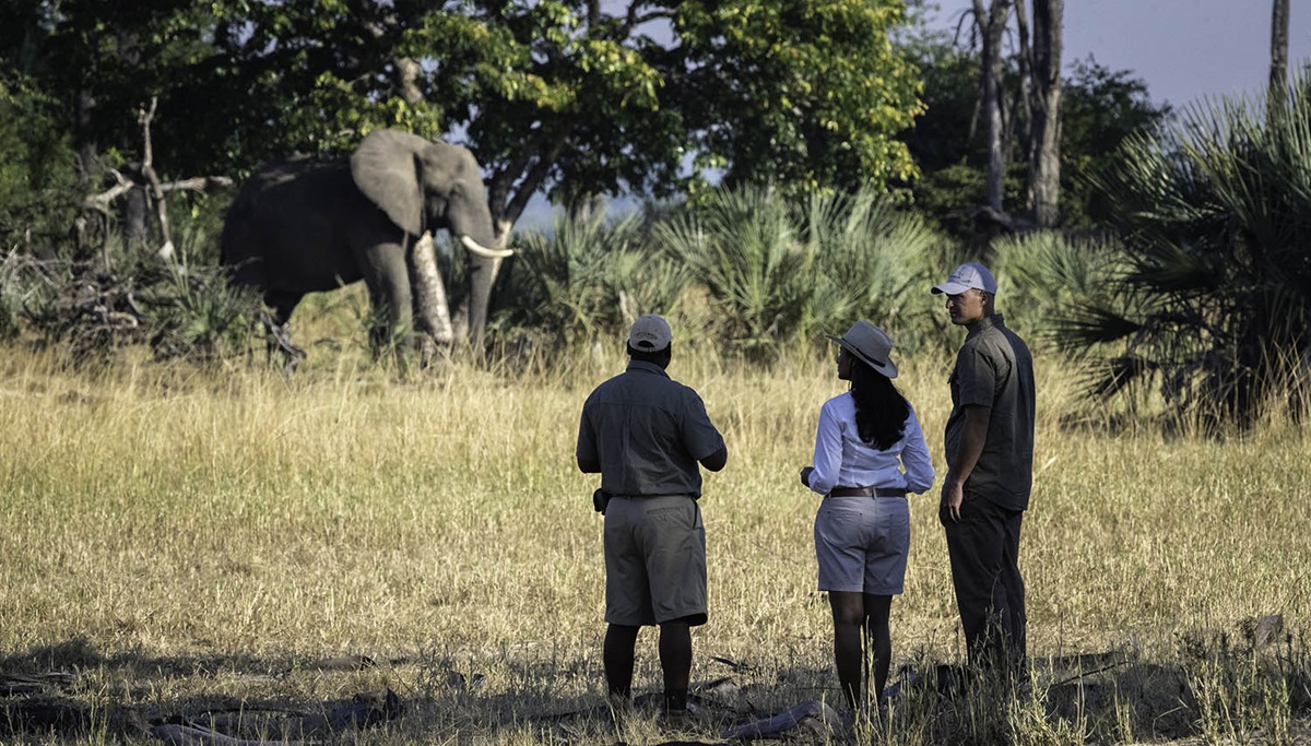 Liwonde Walking Safari