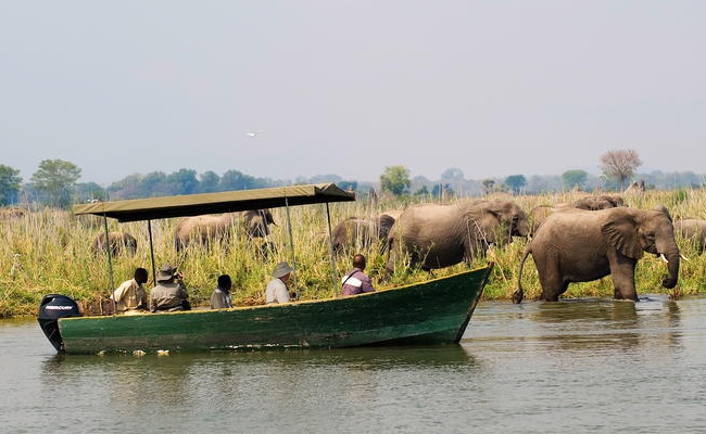 Liwonde Boat Safari