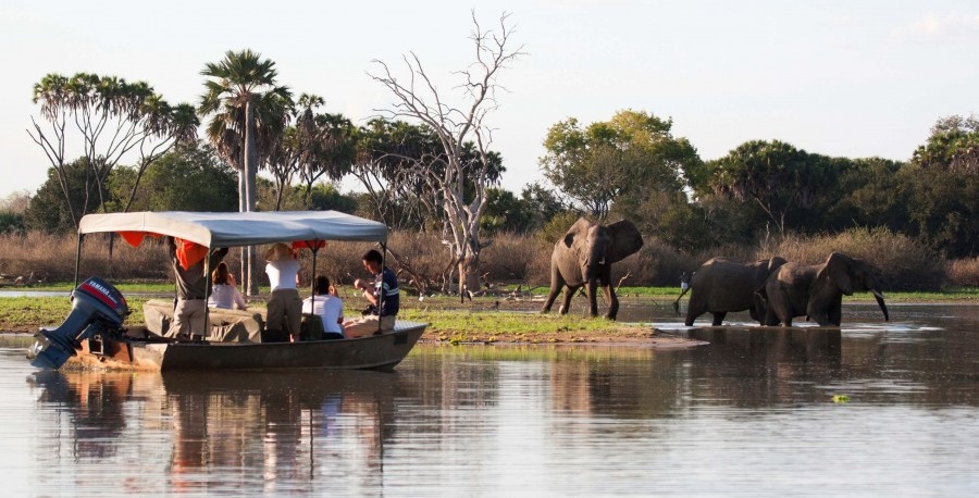 Malawi Safaris - Experience the Beauty of African Wildlife